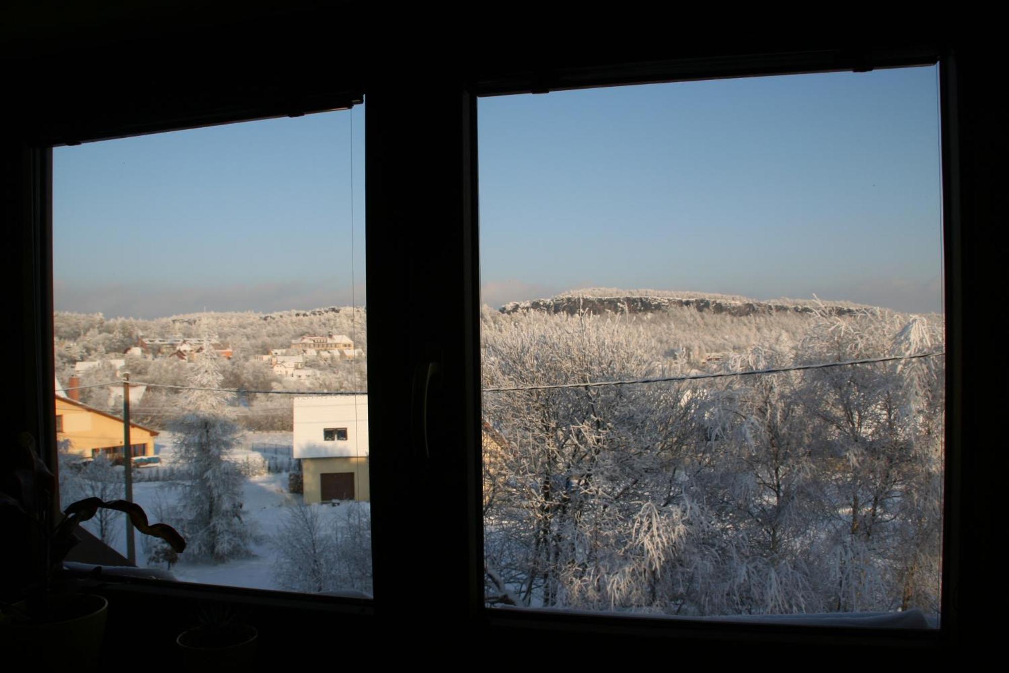 Pension Ctyrlistek Tisá Extérieur photo